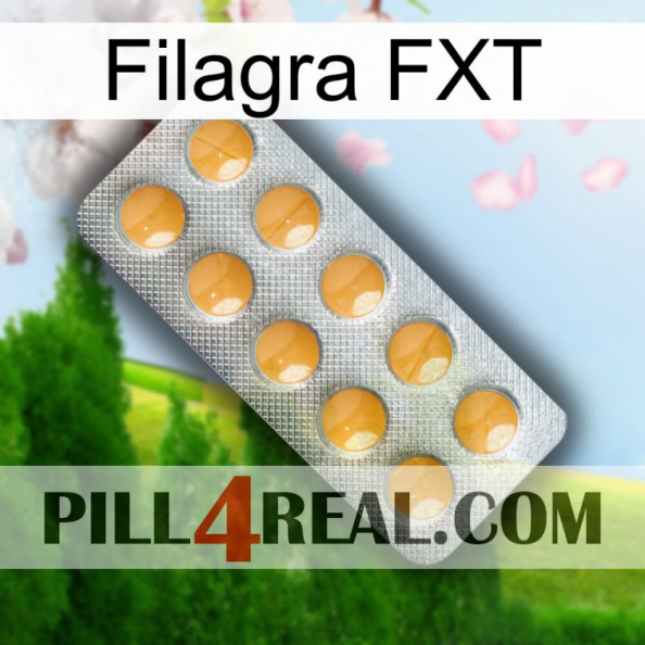 Filagra FXT levitra1.jpg